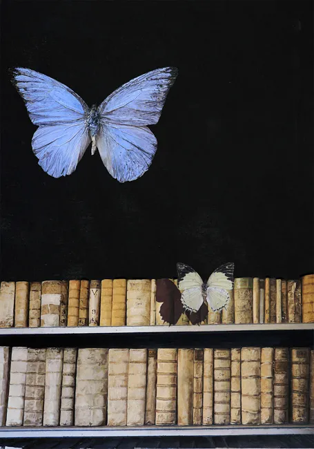 Night anamnesis I