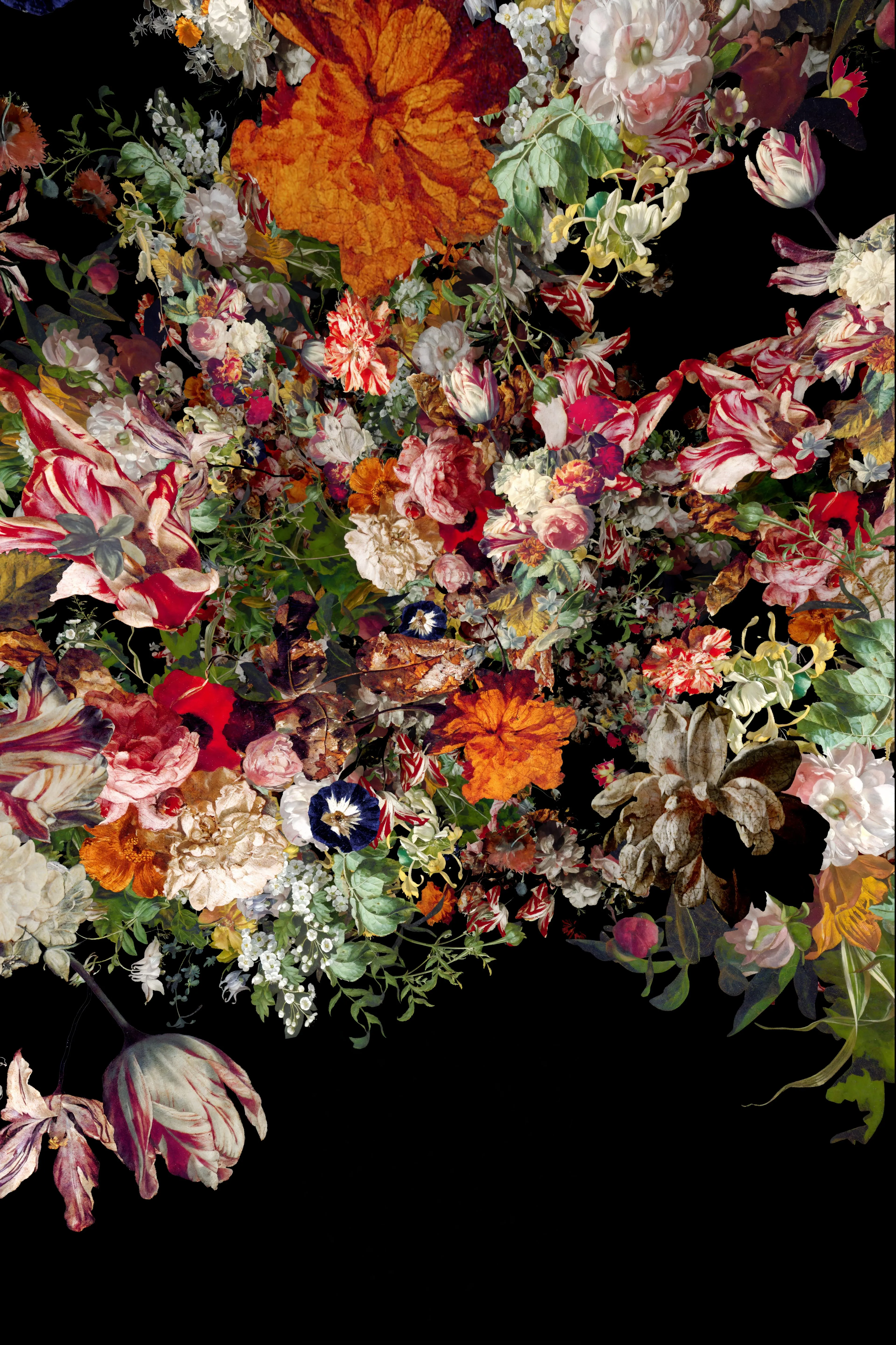 Ocular Fleur 2, 2024 — digital pigment print on archival paper