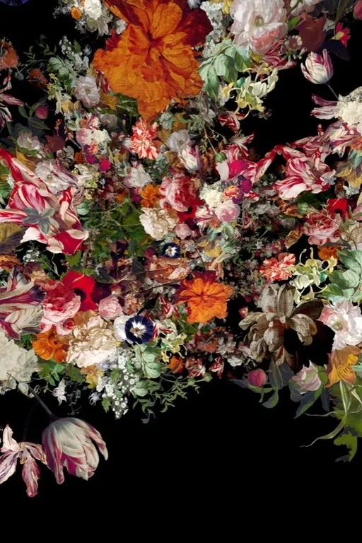 Ocular Fleur