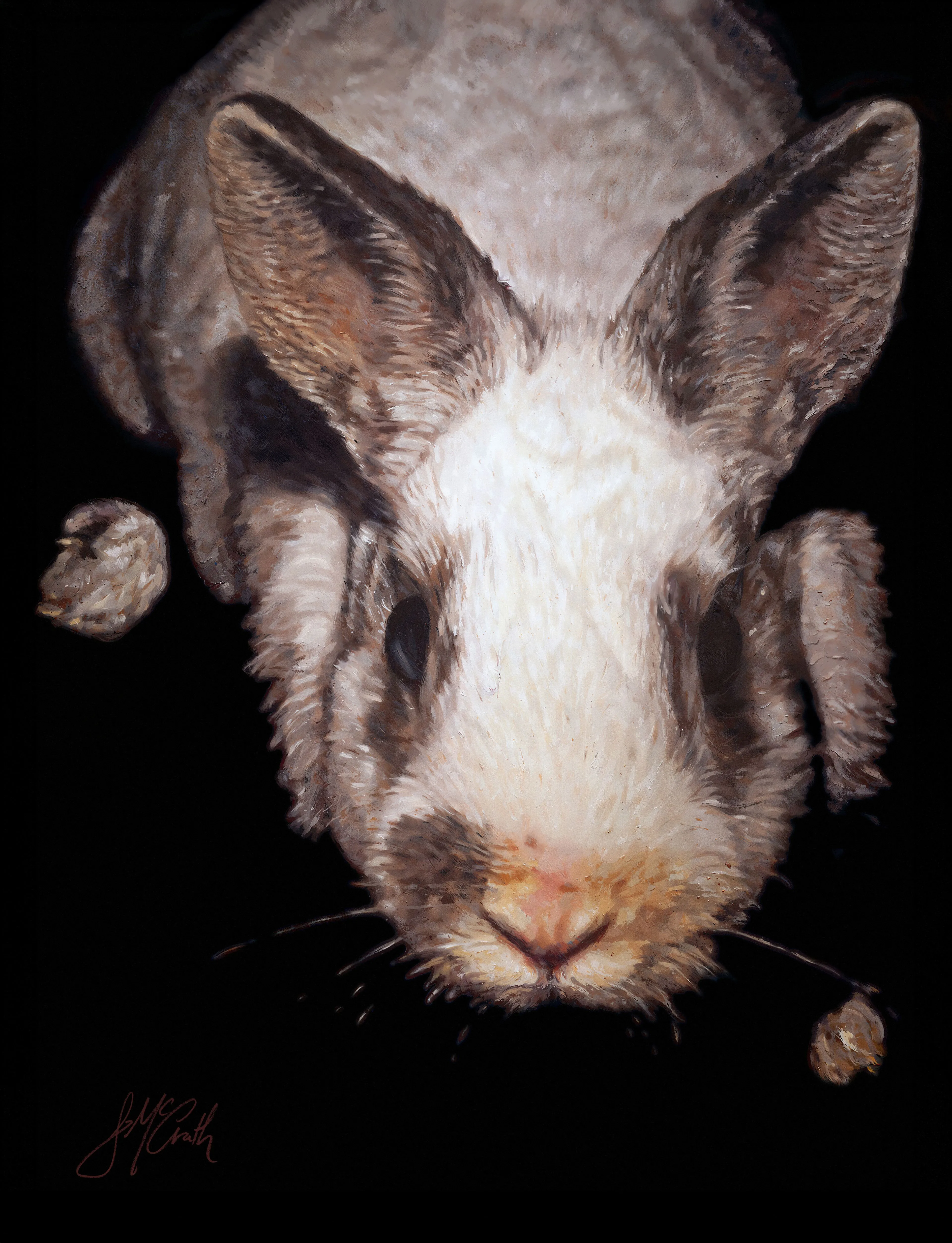 Durer's Rabbit