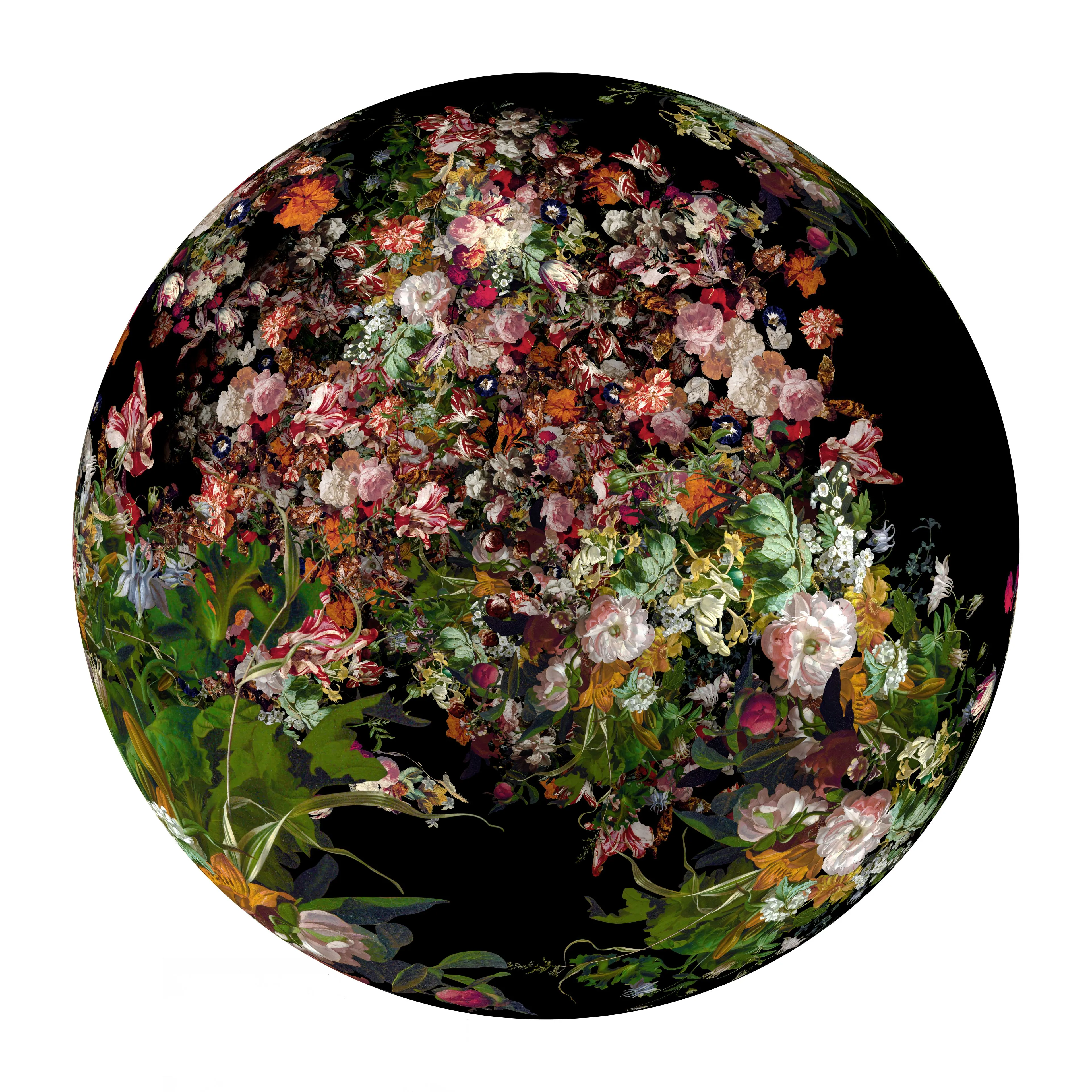 Ocular Fleur 1