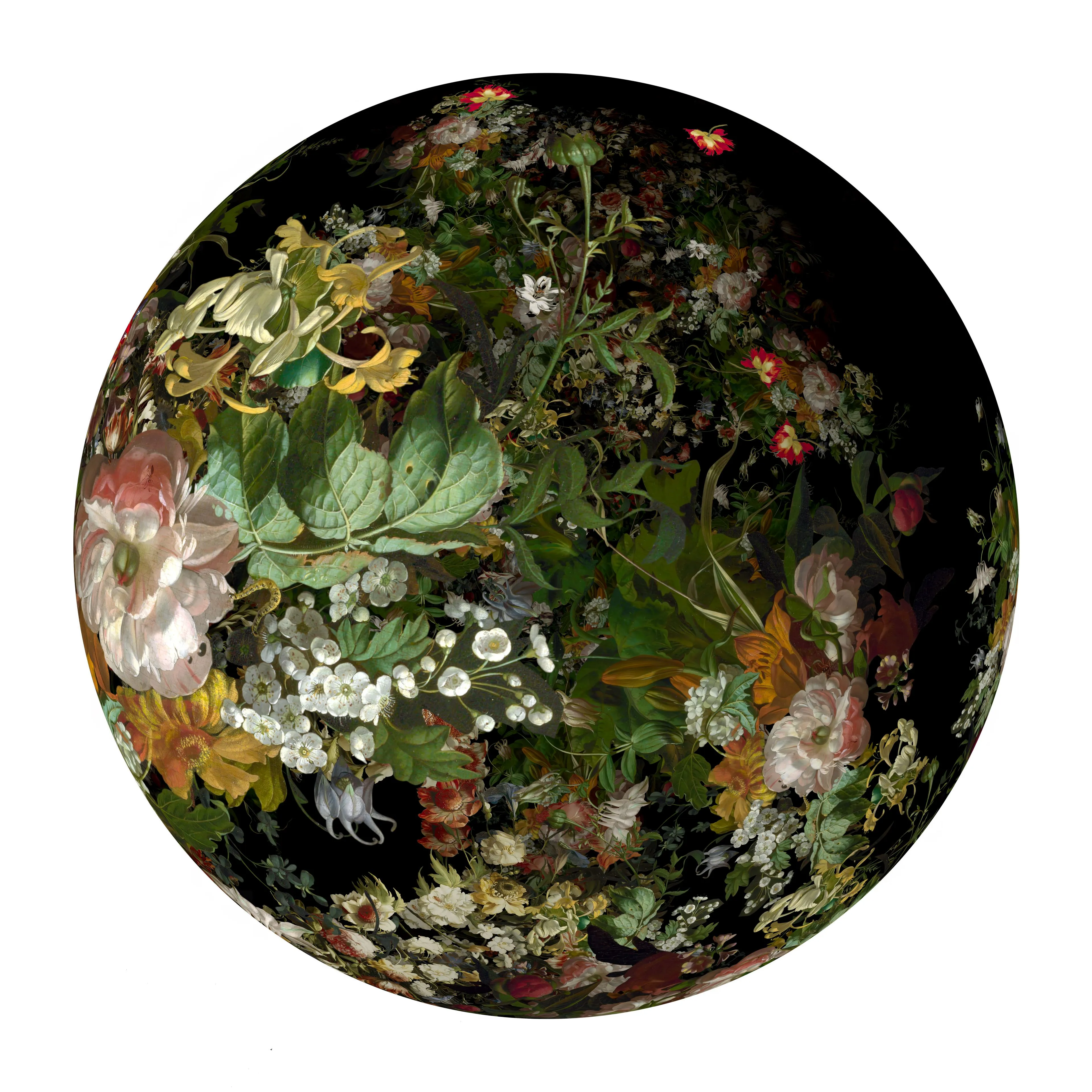Ocular Fleur 2