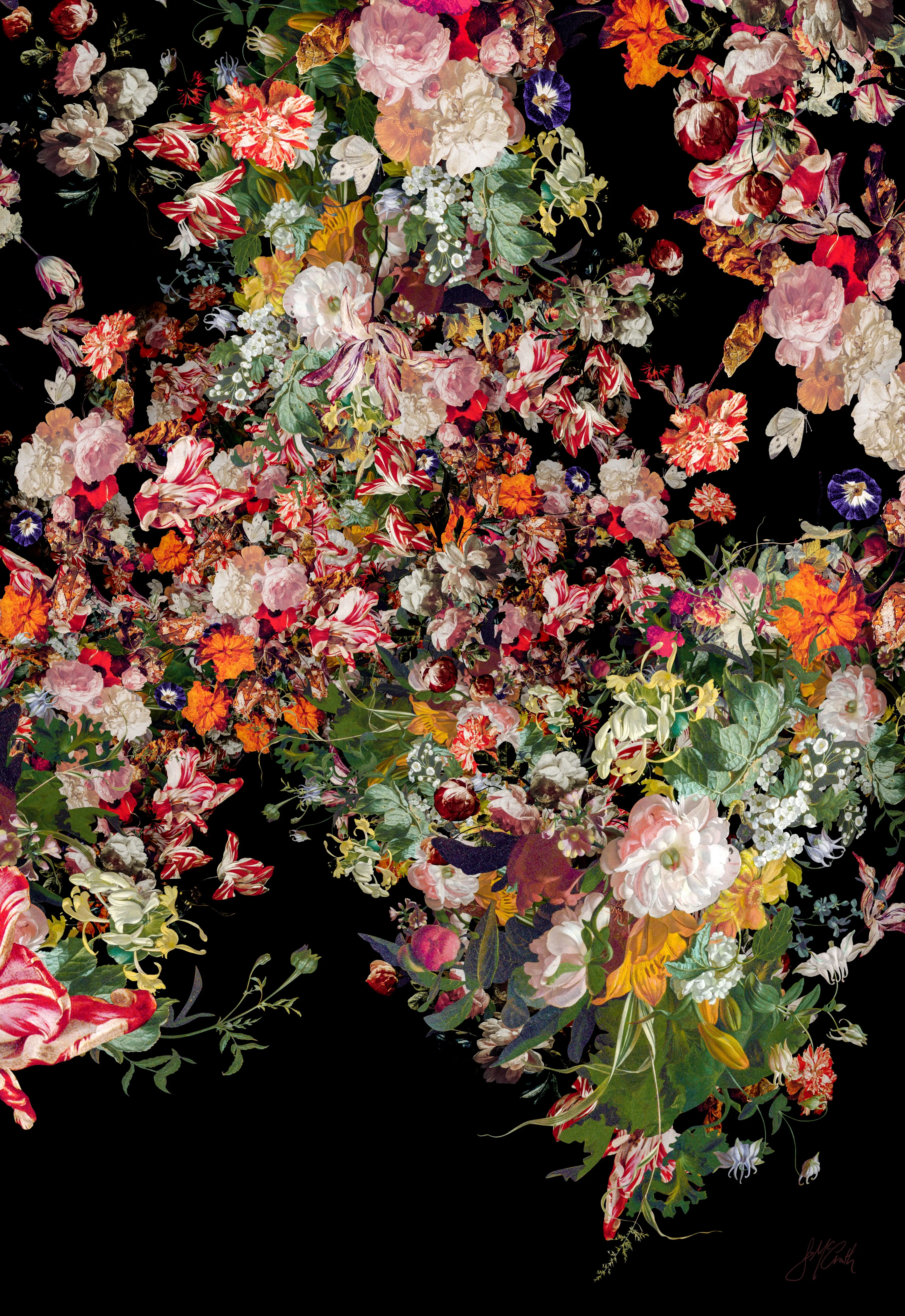 Ocular Fleur 3