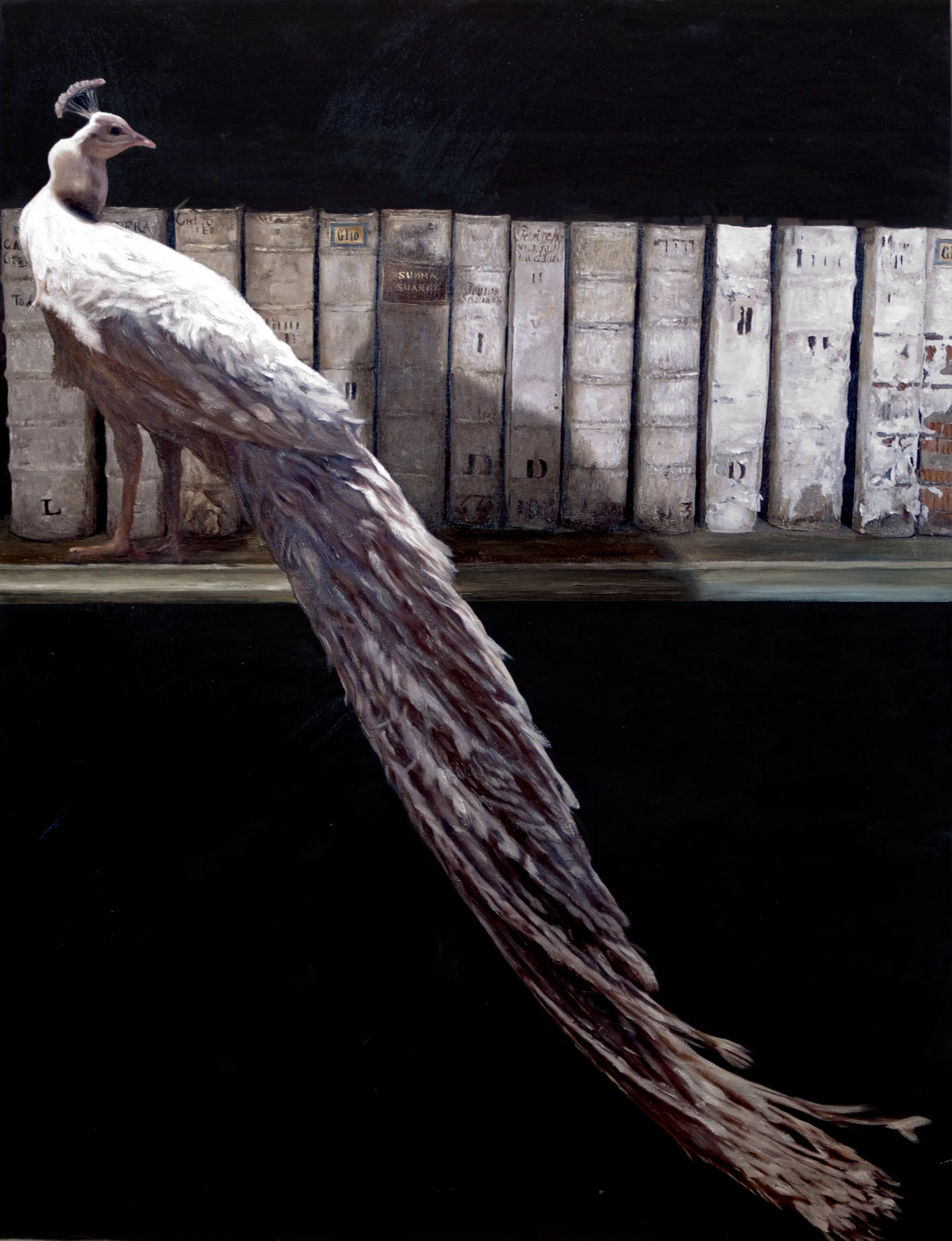 Ex Libris and Peacock iii