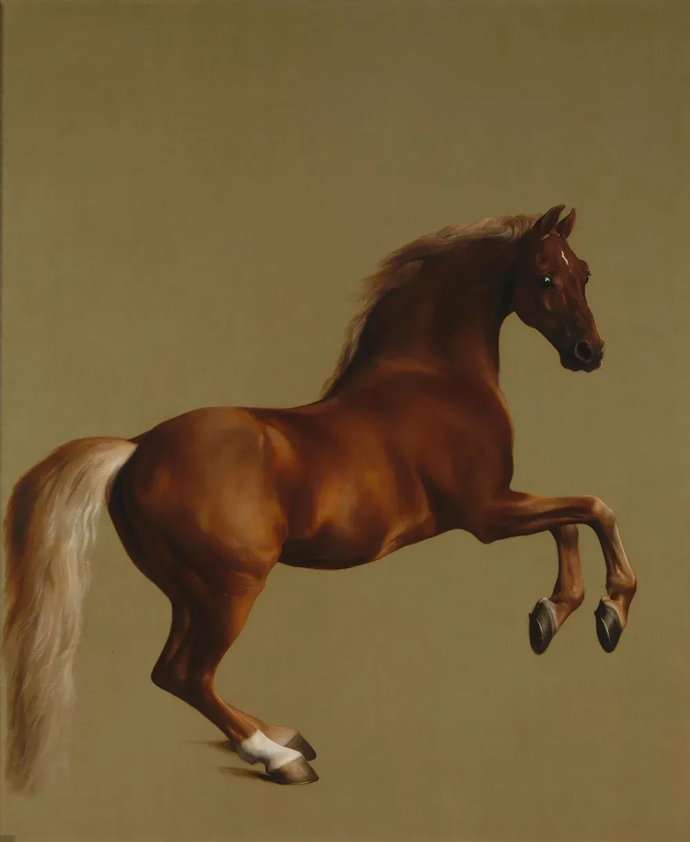 George Stubbs, Whistlejacket — a rearing chestnut stallion against a bare, luminous ground, with no rider, saddle or bridle